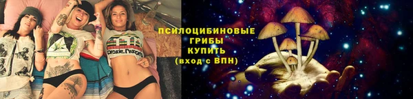 дурь Абаза