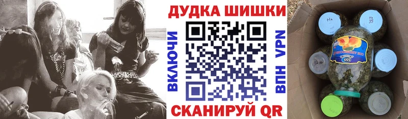 Шишки марихуана сатива  наркота  Хасавюрт 